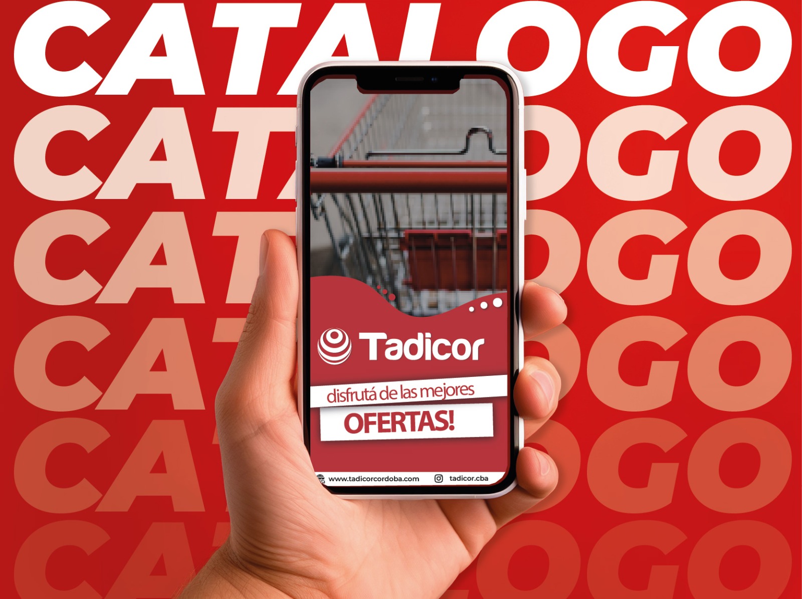 Tadicor, Tadicor Córdoba, tadicor, tadicor cordoba, supermercado tadicor, supermercado mayorista, supermercado mayorista y minorista, ofertas tadicor, tadicor ofertas